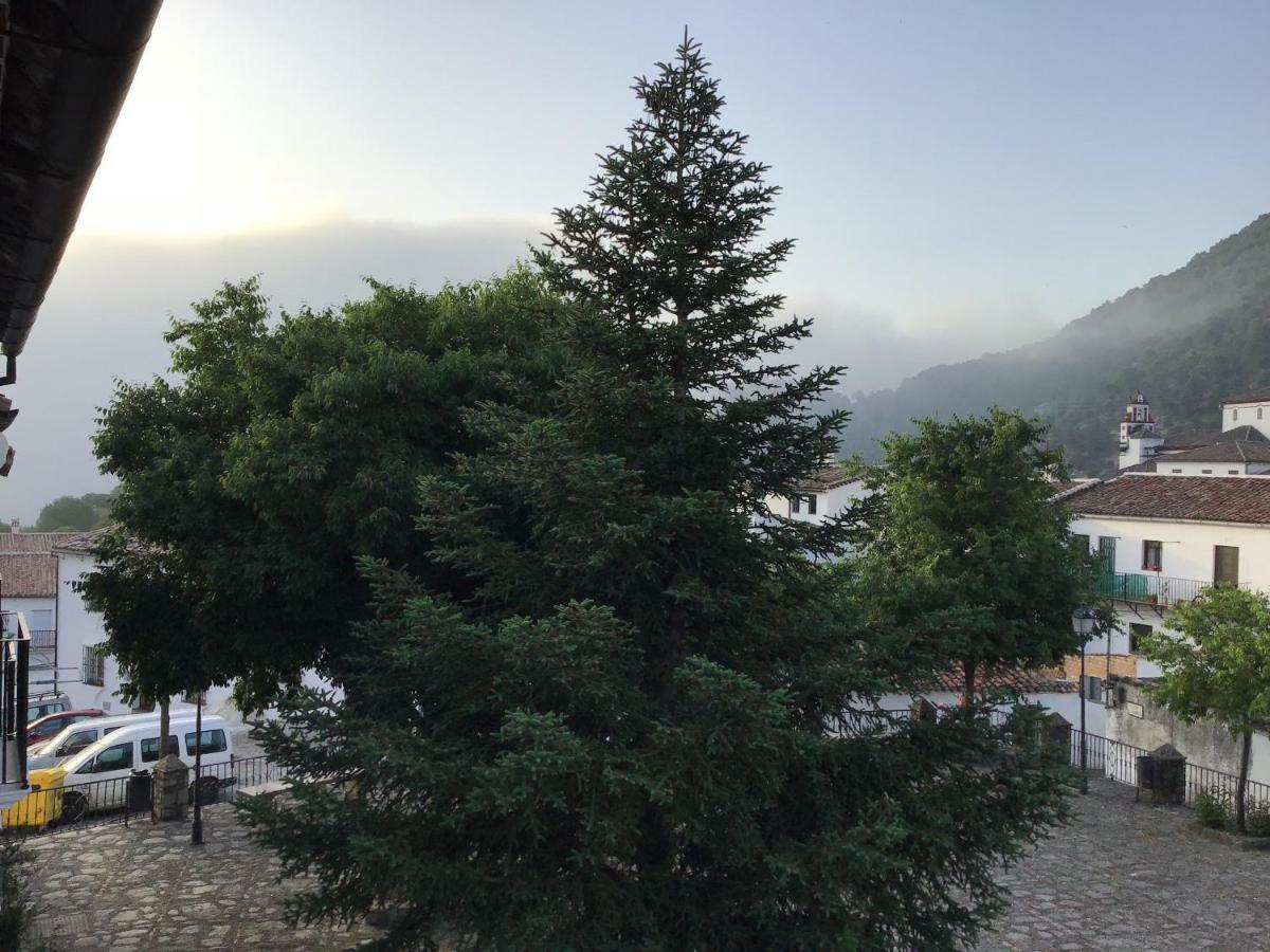 Vivelorural Casa Tassone, Grazalema - Cadiz Villa Eksteriør bilde