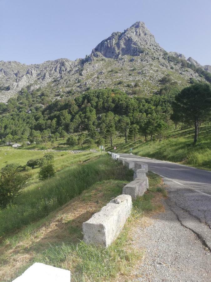 Vivelorural Casa Tassone, Grazalema - Cadiz Villa Eksteriør bilde